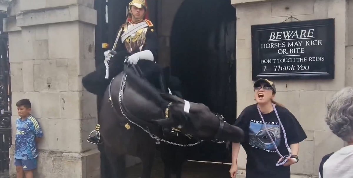 X/@OliLondonTV : Screengrab from the viral video | 